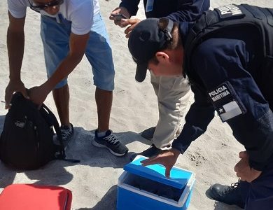 Delegación presidencial coordinó fiscalización en borde costero de Iquique, donde se decomisaron productos y alcoholes que eran vendidos irregularmente 