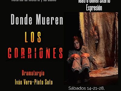 Teatro Universitario Expresión presenta obra “Donde mueren los gorriones” y abre espacio a trovador Urbano Harold Hurtado.