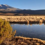 Día Mundial de los Humedales: Preocupación desde el mundo científico porque corren riesgo de desaparecer por degradación vertiginosa