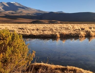 Día Mundial de los Humedales: Preocupación desde el mundo científico porque corren riesgo de desaparecer por degradación vertiginosa