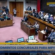 Ley de Insolvencia: Senado aprueba modificaciones para modernizar la normativa y avanza a tercer trámite