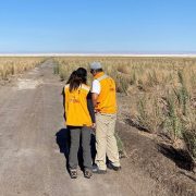 Tribunal Ambiental acoge petición de SQM y no permite a INDH asistir a inspección de operación minera reclamada por comunidades indígenas