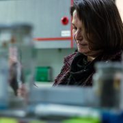 Mujeres científicas: Conoce cómo contribuyen con el medio ambiente investigaciones de 12 mujeres en muestra itinerante que recorre Santiago.