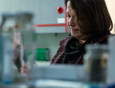 Mujeres científicas: Conoce cómo contribuyen con el medio ambiente investigaciones de 12 mujeres en muestra itinerante que recorre Santiago.