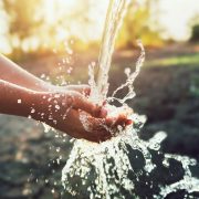 22 de marzo, Día Mundial del Agua: El recurso vital que se bate entre la escasez y la contaminación