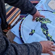 LabAncestral presentó ante Comité Técnico la metodología y resultados obtenidos en investigación junto a comunidades del territorio