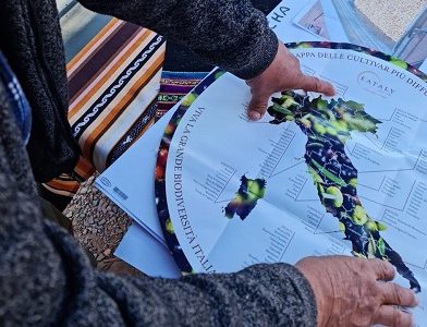 LabAncestral presentó ante Comité Técnico la metodología y resultados obtenidos en investigación junto a comunidades del territorio