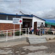 Perros de ganadero lo salvaron de ataque de león andino. En décadas no había antecedentes de ataque de estos felinos a humanos