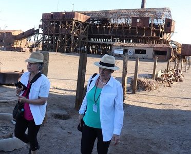 12 naves y más de 5.000 personas entre tripulantes y pasajeros conocieron bondades que ofrece la Región de Tarapacá durante la temporada de cruceros.