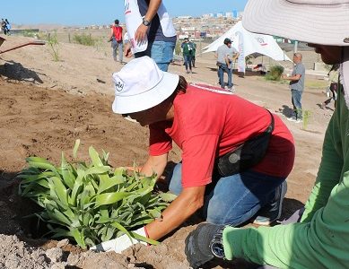 Parque Urbano Santa Rosa incorpora más vegetación en pleno desierto e incentiva a vecinos sobre importancia del cuidado del medio ambiente
