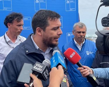 Afectados por Gripe Aviar en Tarapacá suma 422 lobos marinos y 2.999 aves silvestres. Llaman a n o tocar a estos animales marinos y dar cuenta al SAG