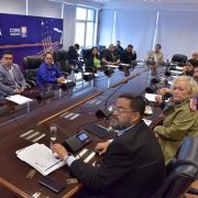 Ante aumento de enfermedades respiratorias, Comisión Salud del Core se reunió con directivos del área y dirigentes