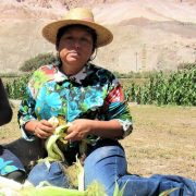 $14 mil millones para emprendimiento, innovación y fomento productivo, se han gestionado durante primer año de la nueva Dirección