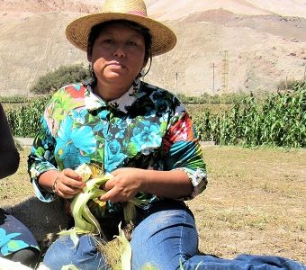 $14 mil millones para emprendimiento, innovación y fomento productivo, se han gestionado durante primer año de la nueva Dirección