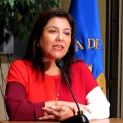 Ante muerte de lactante y colapso del sistema de Salud: Diputada Astudillo solicitó instalación de hospitales de campaña para enfrentar alza de virus respiratorios.