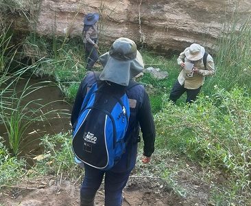 Seremi de Salud confirma nuevo hallazgo en Pica de mosquito Anopheles. Se realizan fiscalizaciones diarias en terreno, en Iquique y el interior
