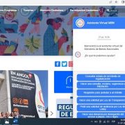 Para denuncias por ocupaciones ilegales o problemas de acceso a playas, Bienes Nacionales dispone de Asistente virtual