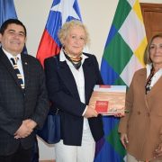 UNAP  y  Servicio de Salud buscan impulsar salud digital en la Región de Tarapacá para fortalecer red de atención y formación de profesionales