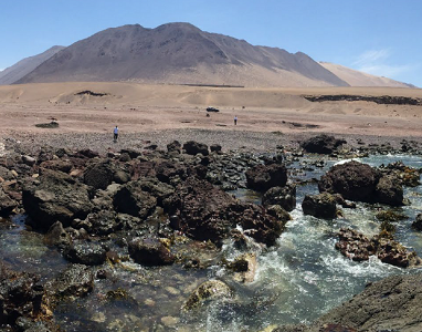 IMI licita estudios de ingeniería para Macrourbanización en Punta Gruesa – Palo Buque, en 162 hectáreas con cabida proyectada de 5 mil viviendas