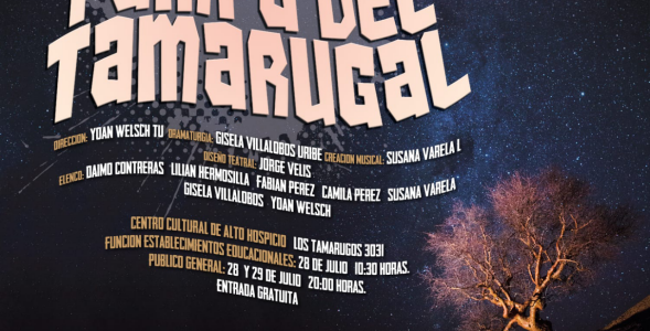 Estrenan obra de ficción «Una noche en la Pampa del Tamarugal». Muñeca mágicamente es transportada a La Tirana