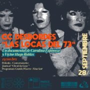 En el Museo de la Memoria se exhibe documental «Las Locas del 73», sobre la lucha de las disidencias
