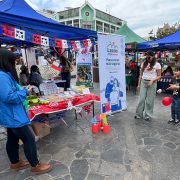 Fiestas Patrias: Reiteran llamado al autocuidado y uso de canales institucionales como  programas Denuncia Seguro y Apoyo a Víctimas.