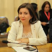  Diputada Astudillo solicitó sesión especial en el Congreso, para abordar el tema de los socavones  en distintas ciudades del país.