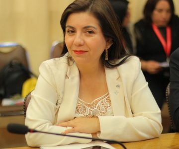  Diputada Astudillo solicitó sesión especial en el Congreso, para abordar el tema de los socavones  en distintas ciudades del país.