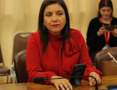 Diputada Danisa Astudillo aseguró que colaboración entre Chile y Colombia contra el crimen organizado “llegó tarde”
