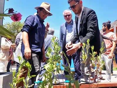 Inician proyecto FIC Xerojardinería, que reduce en 2/3 uso de agua al utilizar plantas endémicas del borde costero desértico de Iquique