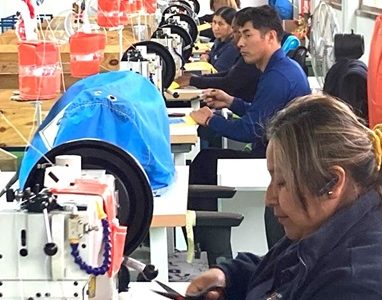 Autoridades llaman a Pymes de Tarapacá a postular en concurso de Bonificación a la Inversión en Zonas Extremas, DFL-15