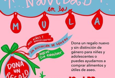 Centro Cultural La Inclusive recibe donaciones para  campaña de Navidad destinada a las  infancias del campamento «La Mula»