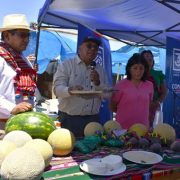 CONADI inauguró innovador sistema de riego en la Pampa del Tamarugal que permitirá mejorar la eficiencia del agua