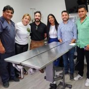 Proyecto permitirá esterilizar caninos y felinos abandonados en la calle, en provincias de Iquique y el Tamarugal