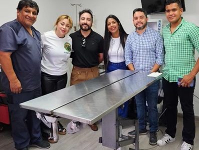 Proyecto permitirá esterilizar caninos y felinos abandonados en la calle, en provincias de Iquique y el Tamarugal