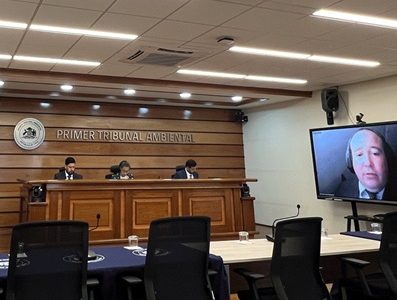 Empresa Oxum dice que no se justifica término anticipado de evaluación ambiental de su proyecto fotovoltaico en el Tamarugal