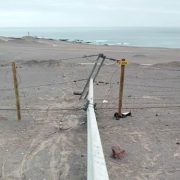 Conoce el grave daño ocasionado por más de 1.200 robos de cables eléctricos, ocurridos durante el 2023