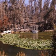 FAO despliega apoyo internacional para restauración del Jardín Botánico de Viña del Mar. Representante en Chile recorrió lugar siniestrado