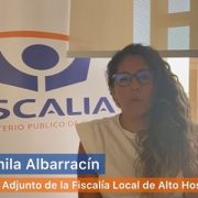 Prisión preventiva para imputado por abuso sexual y producción de pornografía infantil. Estudia Derecho y actuó junto a su pareja