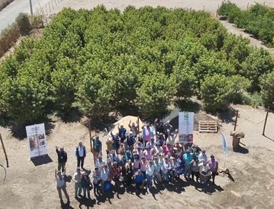 Más de 90 agricultores de la macro zona norte se encuentran en una transición hacia una agricultura sostenible