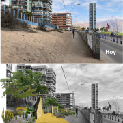 Proyecto Xerojardinería desarrollado por la UNAP propone uso de especies nativas para el manejo de las áreas verdes en las ciudades costeras
