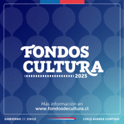 Ministerio de las Culturas inicia proceso de postulaciones a Fondos Cultura 2025. Por primera vez las bases contemplan cruce de información de Deudores de Pensiones de Alimentos.