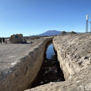 Encuentran sin vida a migrante cubano en frontera de Chile y Bolivia, sector de bofedales de Pisiga Carpa
