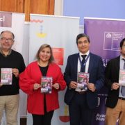 Deudas por pensiones de alimentos suman $2.800 millones en Tarapacá. Tesorería retuvo  $112 millones, a 466 contribuyentes,  durante la operación renta