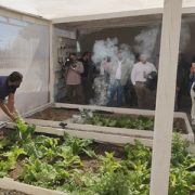 En forma ejemplar concluyó proyecto «Huerto educativo del Tamarugal» habilitado en el Liceo A.S.G.G. de Pozo Almonte