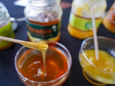 Día Nacional de la Miel: Aumentar el consumo y proteger a las abejas son prioridades para el sector apícola y la agricultura en Chile