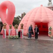 Oficina de la Mujer y Equidad de Género de la Municipalidad de Iquique realiza Feria Preventiva en el Mes del Cáncer de Mama