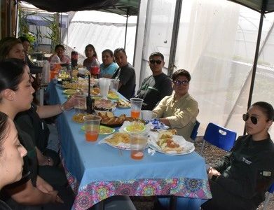 Proyecto hidropónico del Centro Penitenciario de Iquique cumplió su primer año logrando una producción  de 450 lechugas bajo esa modalidad