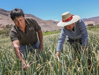 Convocan a Encuentro virtual “Panorama Agroclimático Estacional” sobre precauciones frente a posibles alzas de temperaturas y déficit hídrico