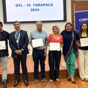 Llaman a postular a concurso de bonificación a la inversión en zonas extremas, DFL-15, que contempla subsidio de 20% del proyecto presentado